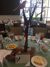 Travis Audubon_Victor Emanual Luncheon_Table
